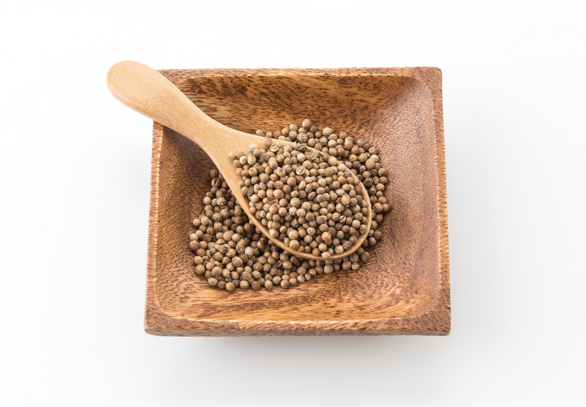 Coriander Seeds
